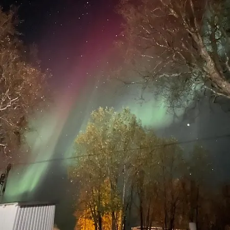 Sentral Og Romslig Naert Senja *