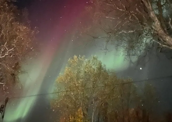 Sentral Og Romslig Naert Senja *